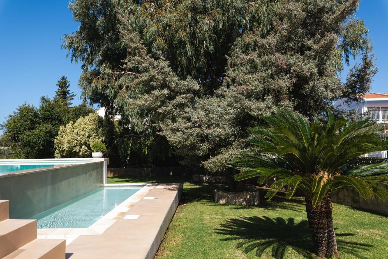 Cedar Tree Villa Kounoupidhianá المظهر الخارجي الصورة