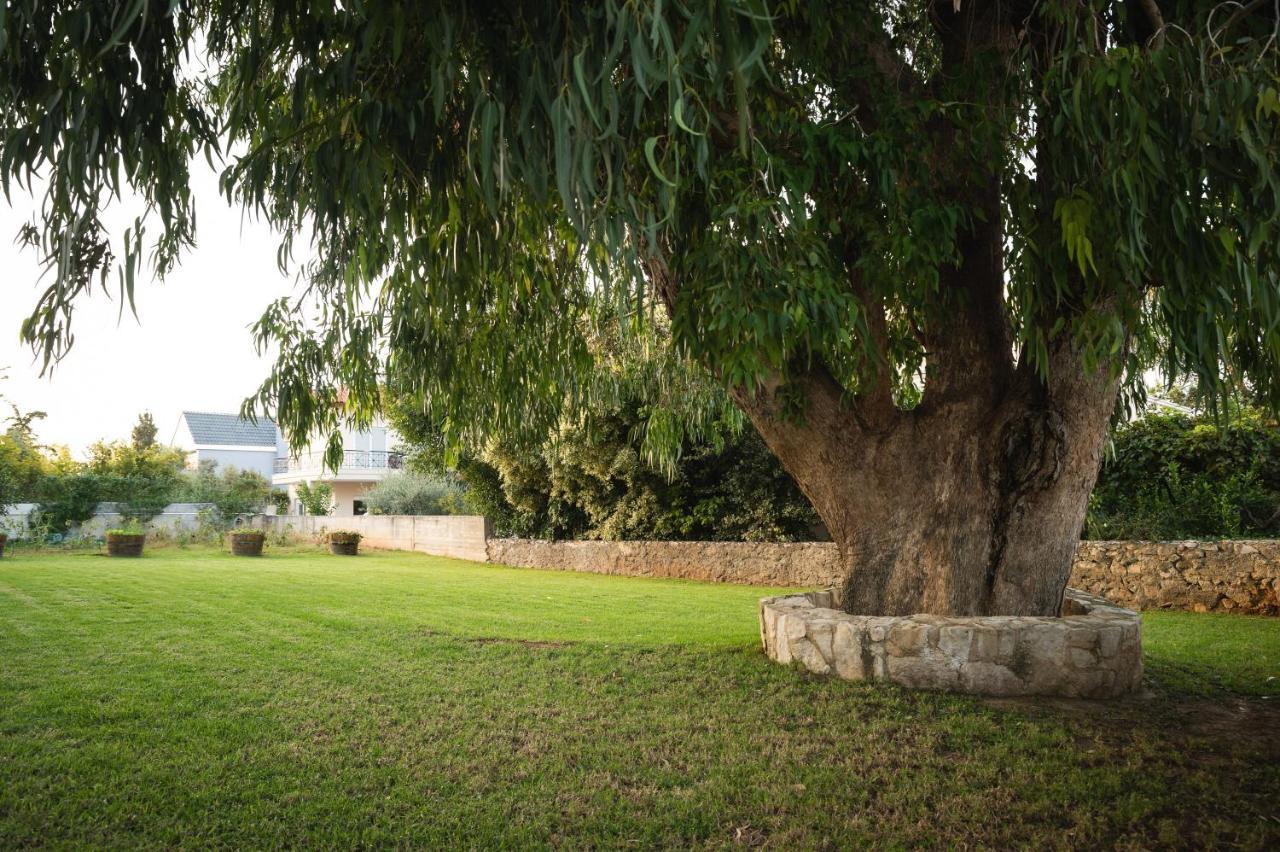 Cedar Tree Villa Kounoupidhianá المظهر الخارجي الصورة